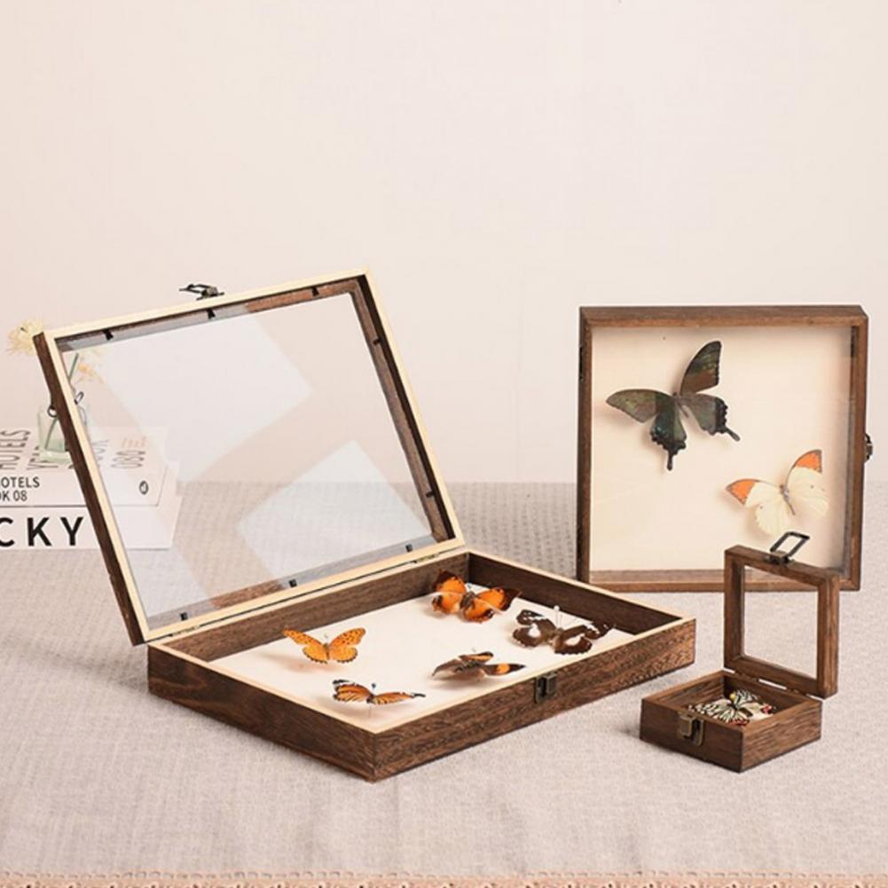 Ahşap Vitrin Kelebek Gölge Kut - Insect Hotel Wood incelemesi ve fiyatı