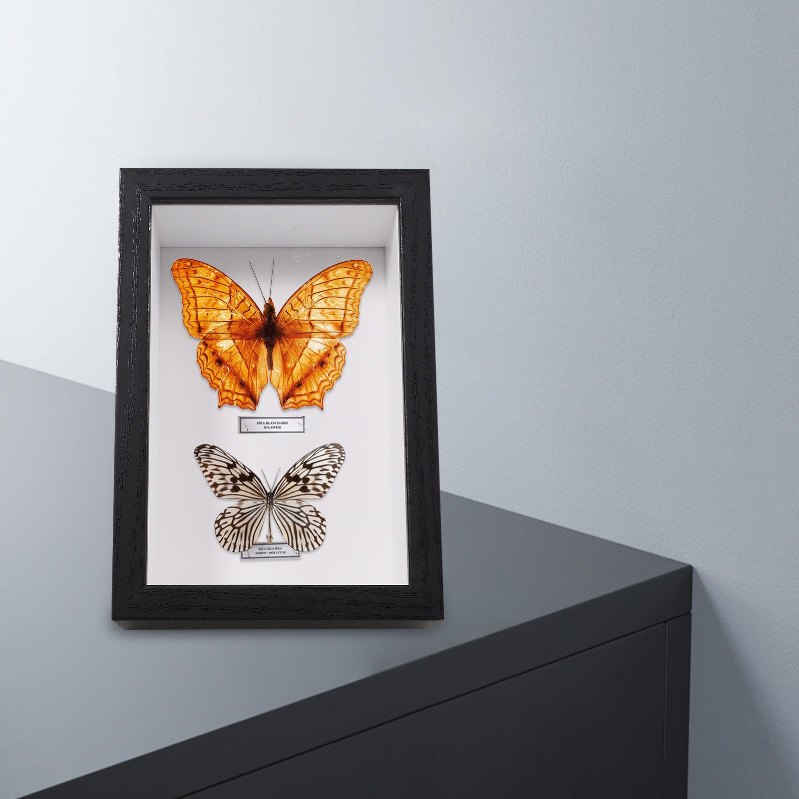 El Yapımı Premium Böcek Örneği - Insect Hotel Wood incelemesi ve fiyatı